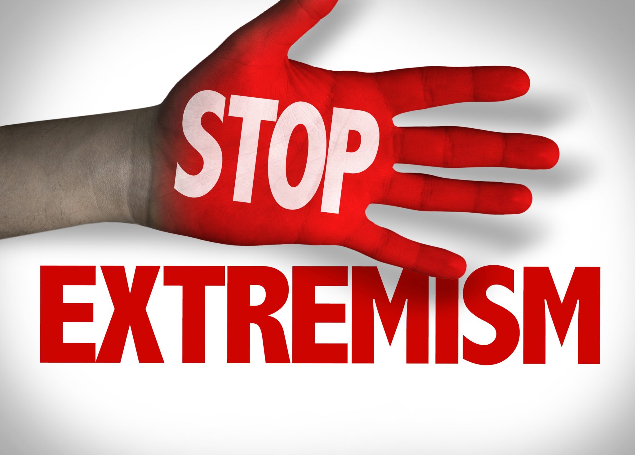 Countering violent extremism in India : The way forward - ASEEMA